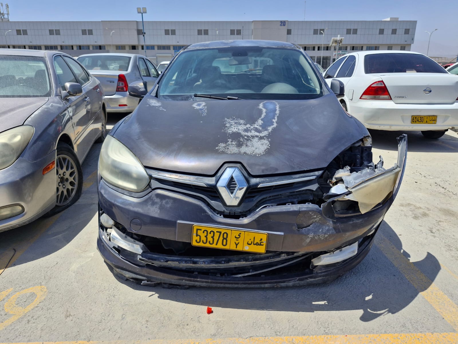 رينولتميغان